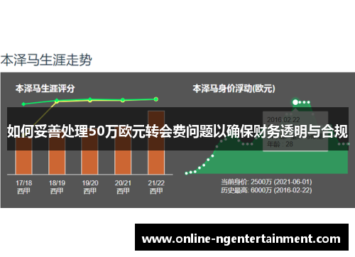 如何妥善处理50万欧元转会费问题以确保财务透明与合规