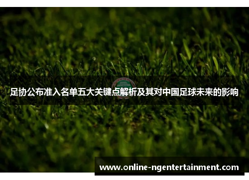 足协公布准入名单五大关键点解析及其对中国足球未来的影响
